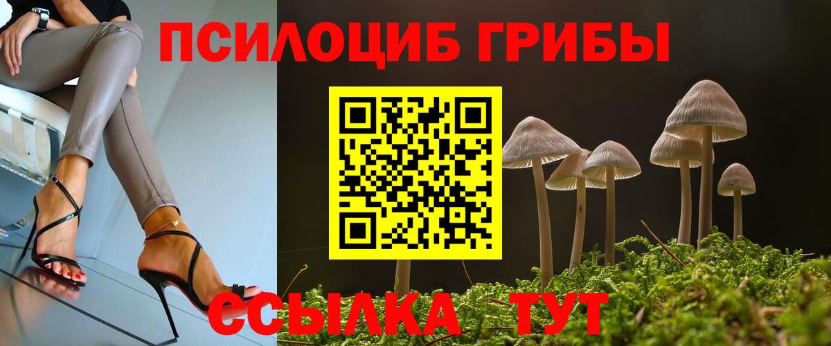 Тверь  Псилоцибиновые грибы прущие грибы  Вход с VPN 